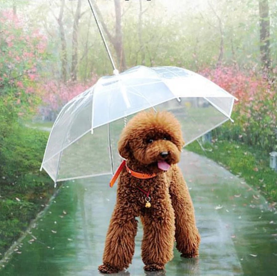 Dog Umbrella with Leash Attached